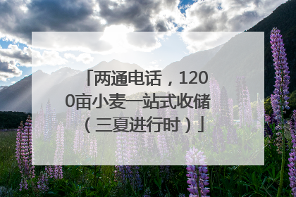 两通电话，1200亩小麦一站式收储（三夏进行时）