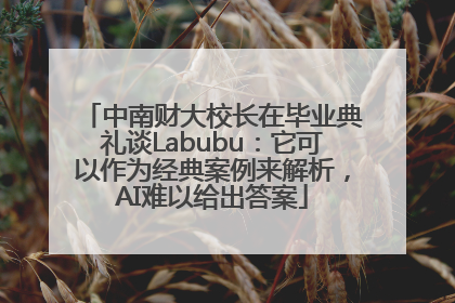中南财大校长在毕业典礼谈Labubu：它可以作为经典案例来解析，AI难以给出答案