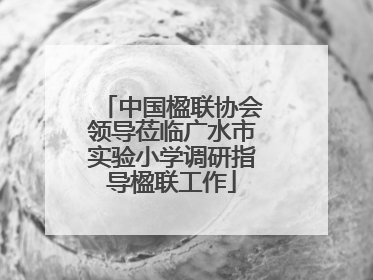 中国楹联协会领导莅临广水市实验小学调研指导楹联工作