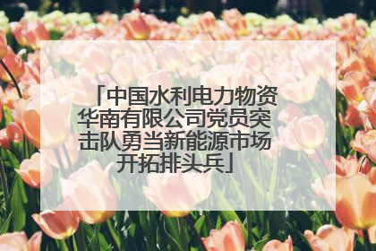 中国水利电力物资华南有限公司党员突击队勇当新能源市场开拓排头兵