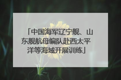 中国海军辽宁舰、山东舰航母编队赴西太平洋等海域开展训练