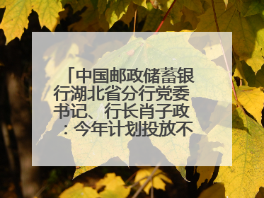 中国邮政储蓄银行湖北省分行党委书记、行长肖子政：今年计划投放不少于2000亿元支持支点建设