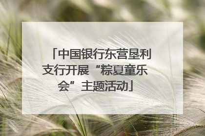 中国银行东营垦利支行开展“粽夏童乐会”主题活动