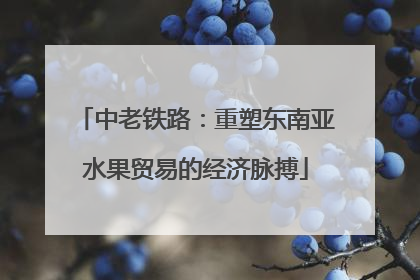 中老铁路：重塑东南亚水果贸易的经济脉搏