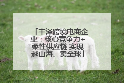 丰泽跨境电商企业：核心竞争力+柔性供应链 实现越山海、卖全球