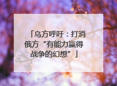 乌方呼吁：打消俄方“有能力赢得战争的幻想”