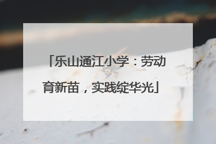 乐山通江小学：劳动育新苗，实践绽华光