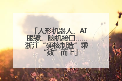 人形机器人、AI眼镜、脑机接口……浙江“硬核制造”乘“数”而上
