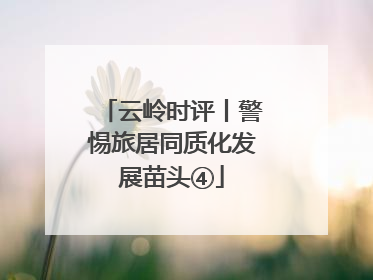 云岭时评丨警惕旅居同质化发展苗头④