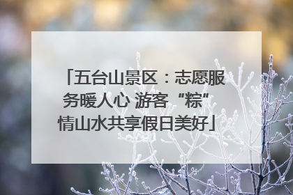 五台山景区：志愿服务暖人心 游客“粽”情山水共享假日美好