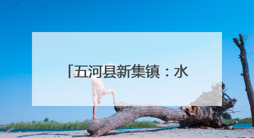 五河县新集镇：水蜜桃喜丰收 “甜蜜经济促增收”