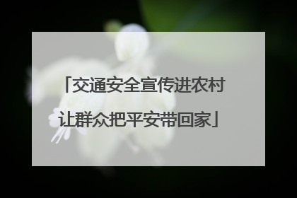 交通安全宣传进农村 让群众把平安带回家
