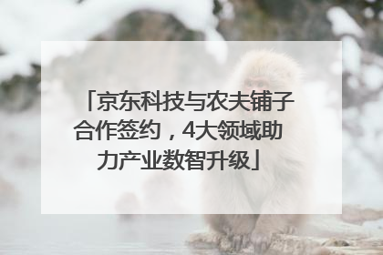 京东科技与农夫铺子合作签约，4大领域助力产业数智升级