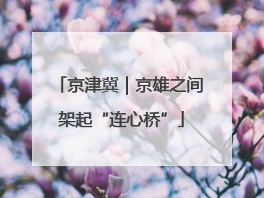 京津冀｜京雄之间架起“连心桥”
