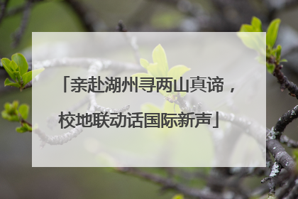 亲赴湖州寻两山真谛，校地联动话国际新声