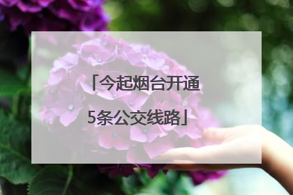 今起烟台开通5条公交线路