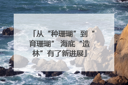 从“种珊瑚”到“育珊瑚” 海底“造林”有了新进展