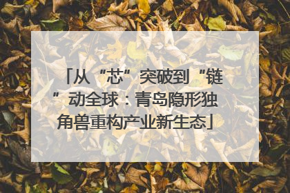 从“芯”突破到“链”动全球：青岛隐形独角兽重构产业新生态