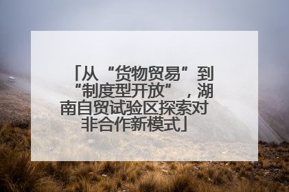 从“货物贸易”到“制度型开放”，湖南自贸试验区探索对非合作新模式