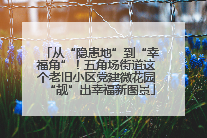 从“隐患地”到“幸福角”！五角场街道这个老旧小区党建微花园“靓”出幸福新图景