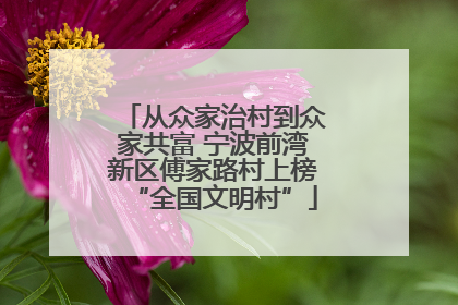 从众家治村到众家共富 宁波前湾新区傅家路村上榜“全国文明村”