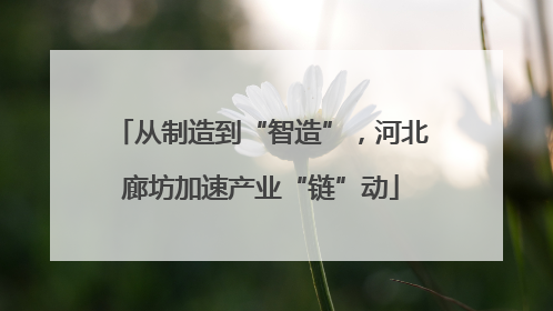 从制造到“智造”，河北廊坊加速产业“链”动
