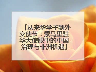 从来华学子到外交使节：索马里驻华大使眼中的中国治理与非洲机遇