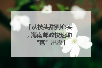 从枝头甜到心头，海南邮政快速助“荔”出岛