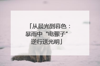 从晨光到暮色：暴雨中“电骡子”逆行送光明