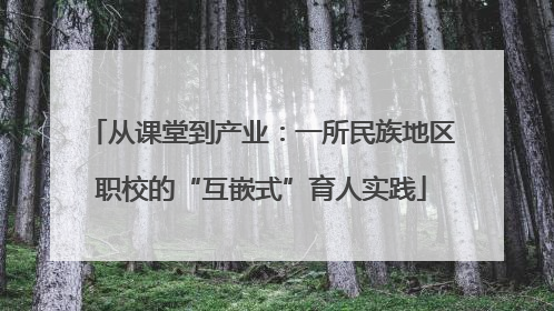 从课堂到产业：一所民族地区职校的“互嵌式”育人实践