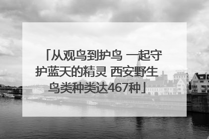 从观鸟到护鸟 一起守护蓝天的精灵 西安野生鸟类种类达467种