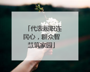 代表履职连民心，群众智慧筑家园