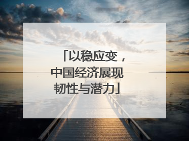 以稳应变，中国经济展现韧性与潜力