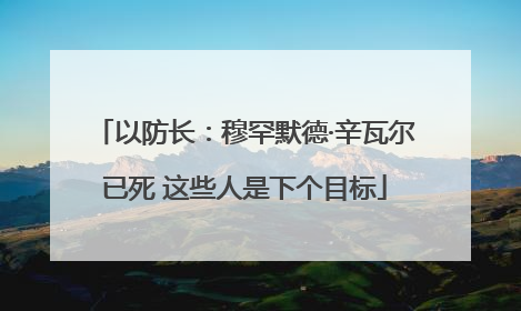 以防长：穆罕默德·辛瓦尔已死 这些人是下个目标