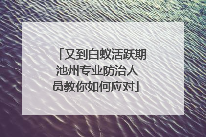 又到白蚁活跃期 池州专业防治人员教你如何应对