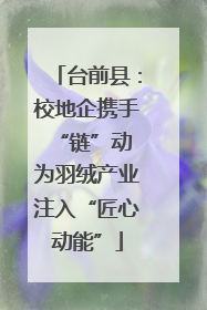 台前县：校地企携手“链”动 为羽绒产业注入“匠心动能”