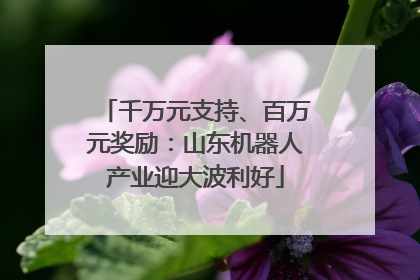 千万元支持、百万元奖励：山东机器人产业迎大波利好