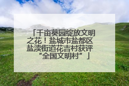 千亩葵园绽放文明之花！盐城市盐都区盐渎街道花吉村获评“全国文明村”