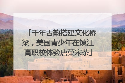千年古韵搭建文化桥梁，美国青少年在镇江高职校体验唐菓宋茶
