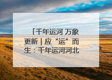 千年运河 万象更新｜应“运”而生：千年运河河北沧州段展新颜
