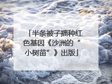 半条被子播种红色基因《沙洲的“小树苗”》出版