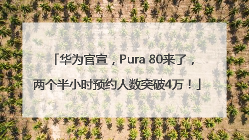 华为官宣，Pura 80来了，两个半小时预约人数突破4万！