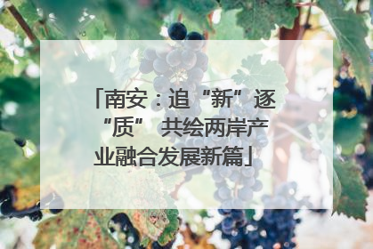 南安：追“新”逐“质” 共绘两岸产业融合发展新篇