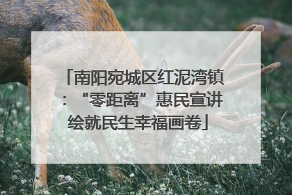 南阳宛城区红泥湾镇：“零距离”惠民宣讲 绘就民生幸福画卷