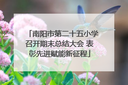 南阳市第二十五小学召开期末总结大会 表彰先进赋能新征程