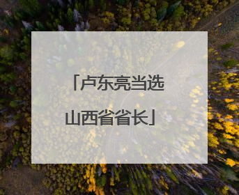 卢东亮当选山西省省长