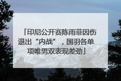印尼公开赛陈雨菲因伤退出“内战”，国羽各单项唯男双表现差劲