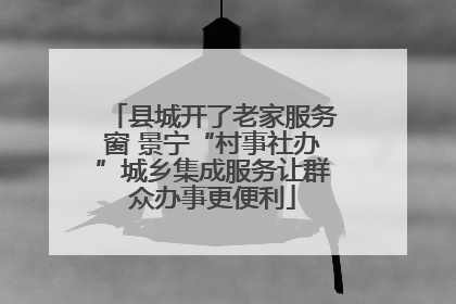 县城开了老家服务窗 景宁“村事社办”城乡集成服务让群众办事更便利