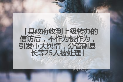 县政府收到上级转办的信访后，不作为慢作为，引发重大舆情，分管副县长等25人被处理