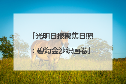 光明日报聚焦日照：碧海金沙织画卷